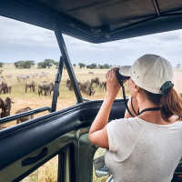 Game viewing